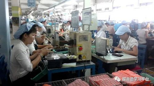 越南鞋業(yè)寒冬 老牌企業(yè)裁員近3000人，折射社會(huì)經(jīng)濟(jì)深層挑戰(zhàn)